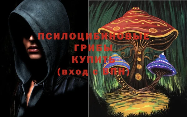 ПСИЛОЦИБИНОВЫЕ ГРИБЫ Вязьма