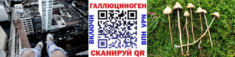 купить  цена  mega ТОР  Псилоцибиновые грибы MAGIC MUSHROOMS  Комсомольск 